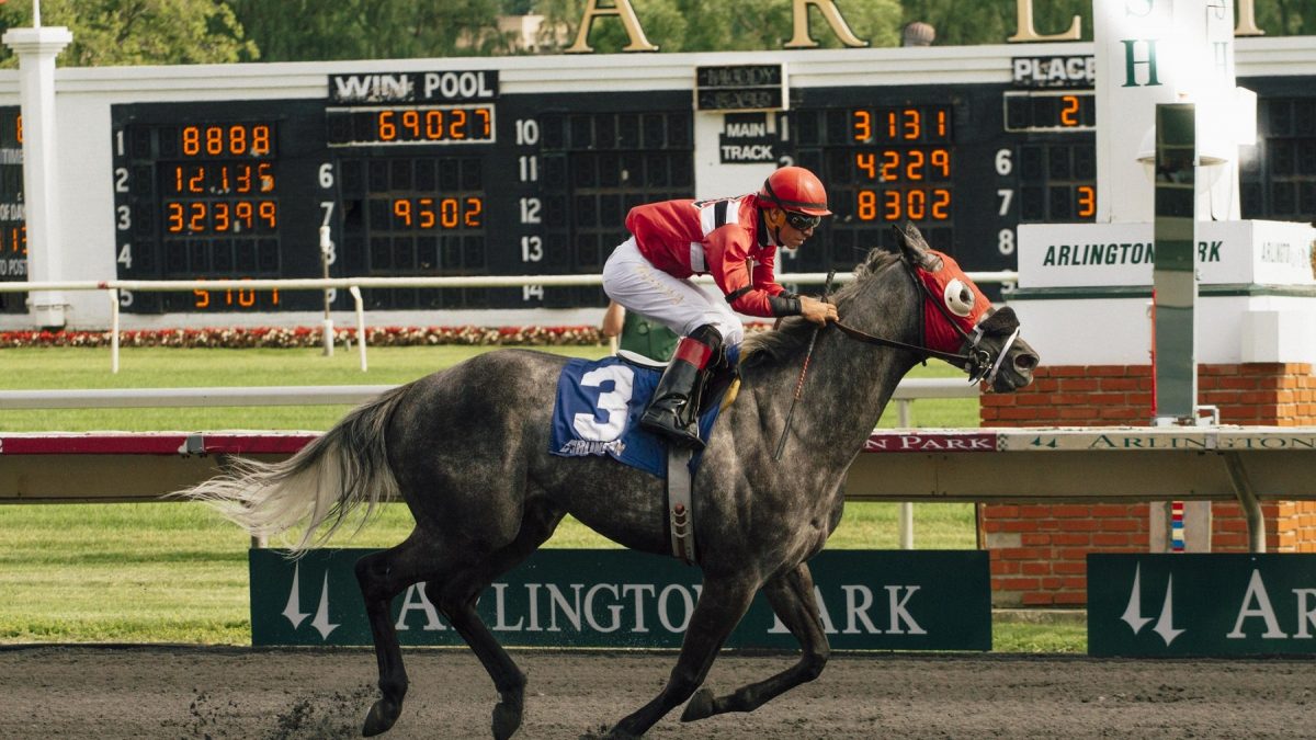 Horse Race Finish at Arlington Racetrack